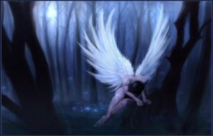 angels-dark-thick-forest-wallpaper